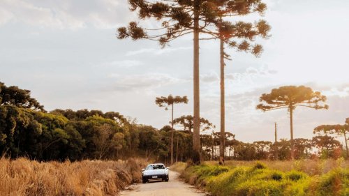 Porsche, Porsche 911, Porsche 911 Dakar, Una familia completó un rally de 3.540 km con su Porsche 911 Dakar