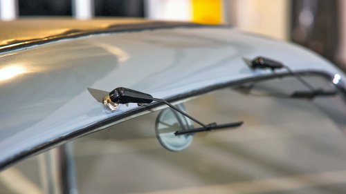 Die seltensten Käfer der Welt: 9 Kostbarkeiten von Laster bis Luxus