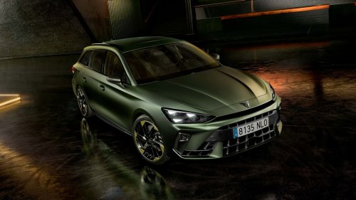 Cupra, CUPRA: nuevo acabado Tribe Edition para toda la gama