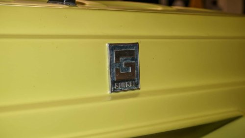 Die seltensten Käfer der Welt: 9 Kostbarkeiten von Laster bis Luxus