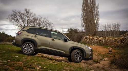 Toyota, Toyota RAV4, Mismo precio que el Toyota RAV4 y tracción 4x4 en este SUV irrompible
