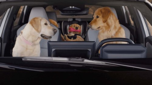Subaru, Fun Fact: Three Percent Of Subaru Owners Haul Chickens