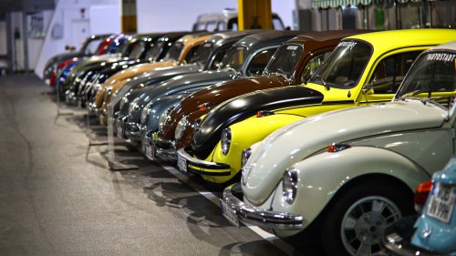 Die seltensten Käfer der Welt: 9 Kostbarkeiten von Laster bis Luxus