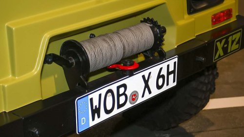 Die seltensten Käfer der Welt: 9 Kostbarkeiten von Laster bis Luxus