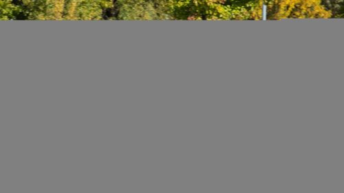 Lexus, Lexus NX, Nuevo Lexus NX 2026: precio, equipamiento, gama… ¡baja potencia, etiqueta Eco/0!