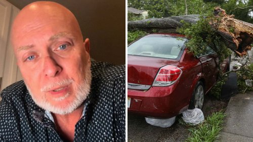 Tree Falls On Woman’s Car. The Dealership Says She Can’t Get Another. Then Another Employee Steps In