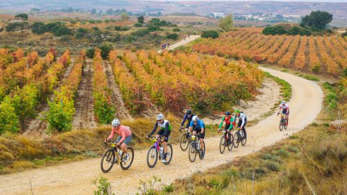 Pistas infinitas, viñedos y diversión: Orbea Gravel Rioja Alavesa 2025