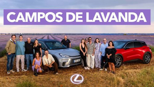 Motor1 Experience by Lexus: viaje a los campos de lavanda de Brihuega