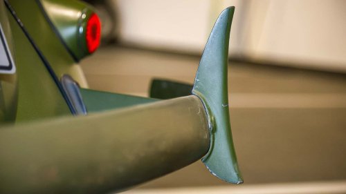 Die seltensten Käfer der Welt: 9 Kostbarkeiten von Laster bis Luxus