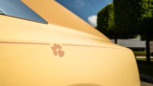 Une voiture d'un demi-million d'euros dédiée... au chien