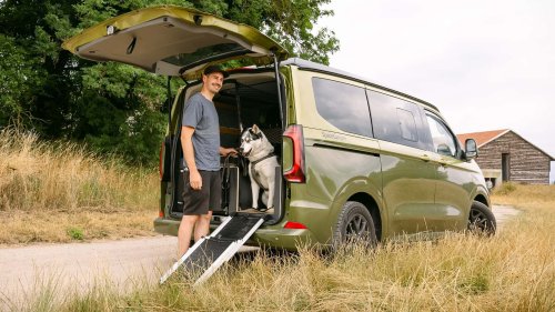 Un camping-car... avec un couchage dédié pour les grands chiens