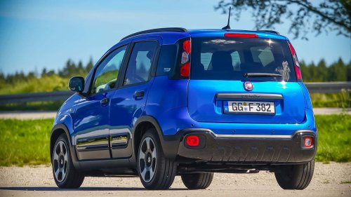 Fiat Pandina Cross (2025) im Test: Der Lieb-Hab-Bär