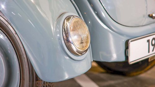 Die seltensten Käfer der Welt: 9 Kostbarkeiten von Laster bis Luxus