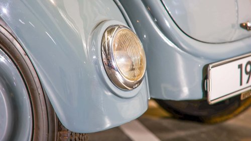 Die seltensten Käfer der Welt: 9 Kostbarkeiten von Laster bis Luxus