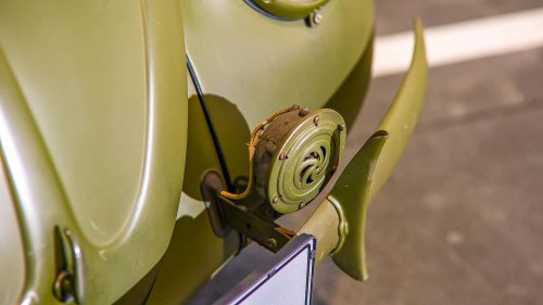 Die seltensten Käfer der Welt: 9 Kostbarkeiten von Laster bis Luxus