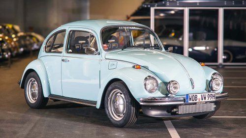 Die seltensten Käfer der Welt: 9 Kostbarkeiten von Laster bis Luxus