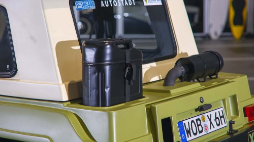 Die seltensten Käfer der Welt: 9 Kostbarkeiten von Laster bis Luxus