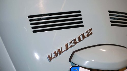 Die seltensten Käfer der Welt: 9 Kostbarkeiten von Laster bis Luxus