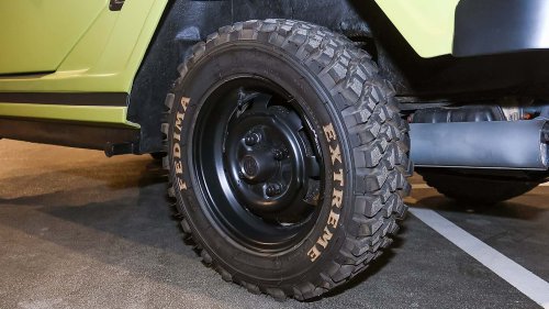 Die seltensten Käfer der Welt: 9 Kostbarkeiten von Laster bis Luxus