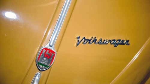 Die seltensten Käfer der Welt: 9 Kostbarkeiten von Laster bis Luxus