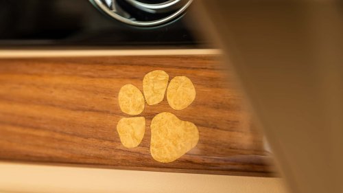 Une voiture d'un demi-million d'euros dédiée... au chien
