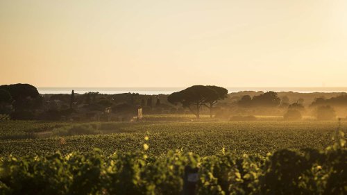Un grand millésime : la Maserati Grecale Tributo Il Bruciato