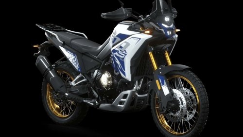 Lanzamiento: Voge DS800X Rally (2025)