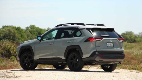 'Don’t See This Every Day:' 2020 RAV4 Goes In for Engine Issue. Then the Mechanic Finds Something Unusual In the Air Filter