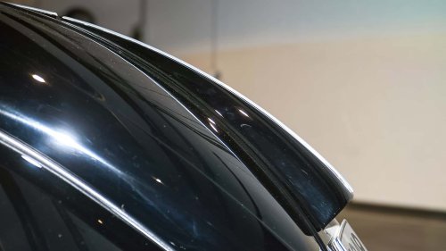 Die seltensten Käfer der Welt: 9 Kostbarkeiten von Laster bis Luxus