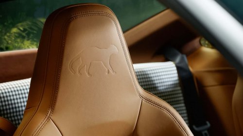 Porsche zeigt besonderen Ozelot-911 GT3 für Lateinamerika