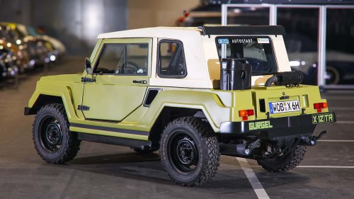 Die seltensten Käfer der Welt: 9 Kostbarkeiten von Laster bis Luxus