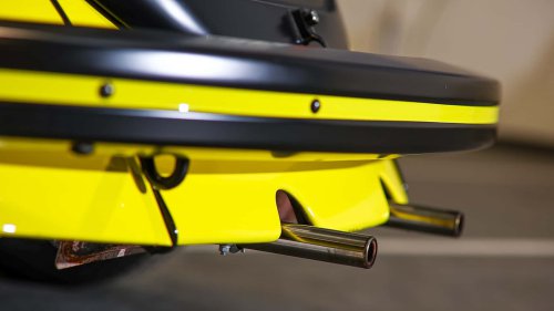 Die seltensten Käfer der Welt: 9 Kostbarkeiten von Laster bis Luxus