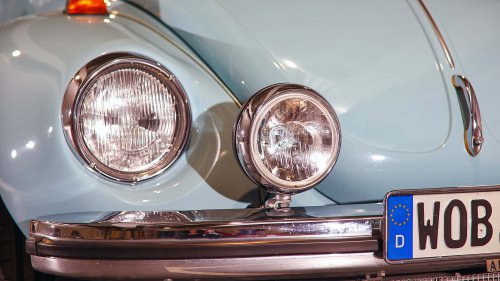 Die seltensten Käfer der Welt: 9 Kostbarkeiten von Laster bis Luxus