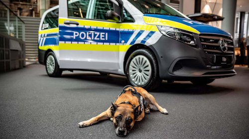 Die Hunde der Polizei München fahren jetzt Mercedes Vito