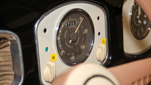 Die seltensten Käfer der Welt: 9 Kostbarkeiten von Laster bis Luxus