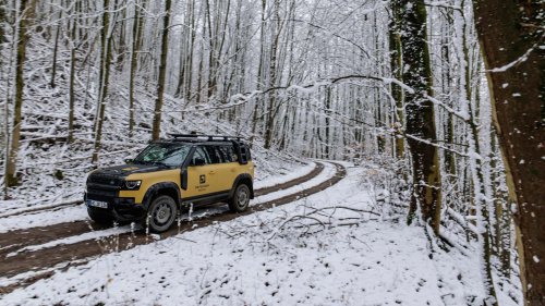 Defender Trophy 2026: Land Rover reaktiviert den Camel Klassiker
