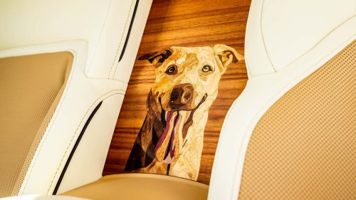 Une voiture d'un demi-million d'euros dédiée... au chien