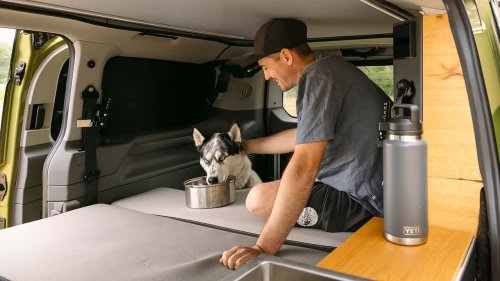Un camping-car... avec un couchage dédié pour les grands chiens
