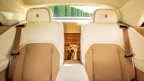 Une voiture d'un demi-million d'euros dédiée... au chien