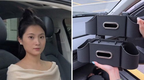 'Rather Have a Pocket:' Is This Backseat Organizer the Answer to Your Travel Woes? Or Is It a Safety Hazard?