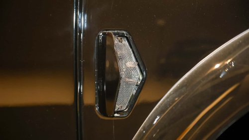 Die seltensten Käfer der Welt: 9 Kostbarkeiten von Laster bis Luxus