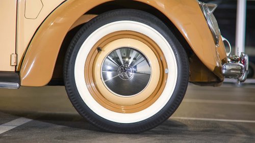 Die seltensten Käfer der Welt: 9 Kostbarkeiten von Laster bis Luxus