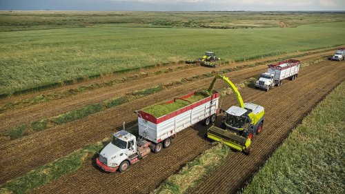 4.096 Tonnen in 12 Stunden: Claas stellt Ernte-Weltrekord auf