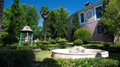 Motor1 Experience by Lexus: viaje a los campos de lavanda de Brihuega