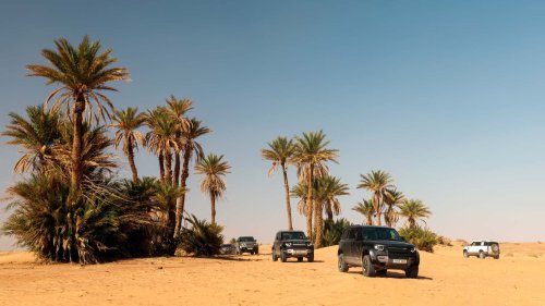 Auf der Jagd nach dem Land Rover Defender für die Rallye Dakar