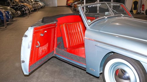 Die seltensten Käfer der Welt: 9 Kostbarkeiten von Laster bis Luxus