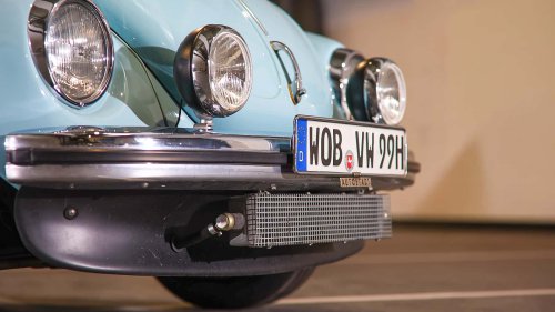 Die seltensten Käfer der Welt: 9 Kostbarkeiten von Laster bis Luxus