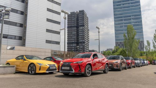 Motor1 Experience by Lexus: viaje a los campos de lavanda de Brihuega