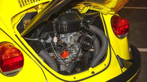 Die seltensten Käfer der Welt: 9 Kostbarkeiten von Laster bis Luxus