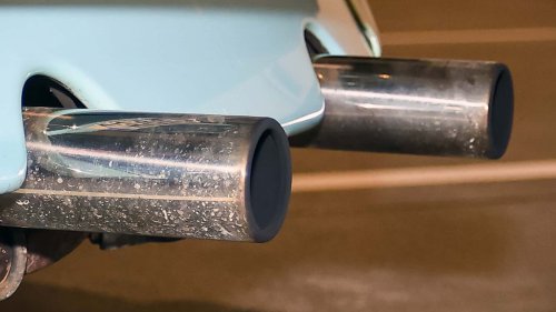 Die seltensten Käfer der Welt: 9 Kostbarkeiten von Laster bis Luxus